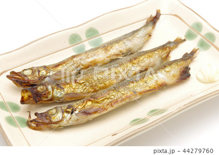 焼きししゃもの写真素材