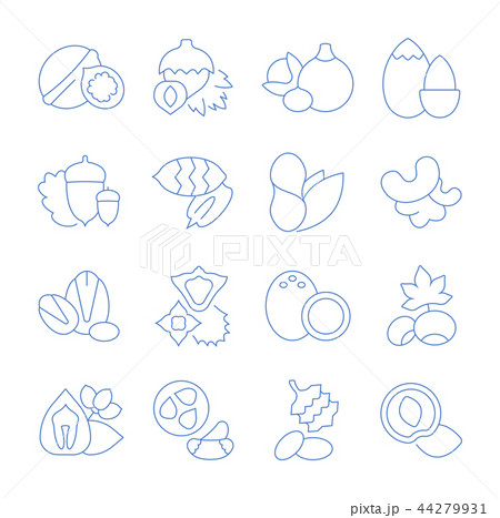 Set Vector Flat Line Icons of Nuts 44279931