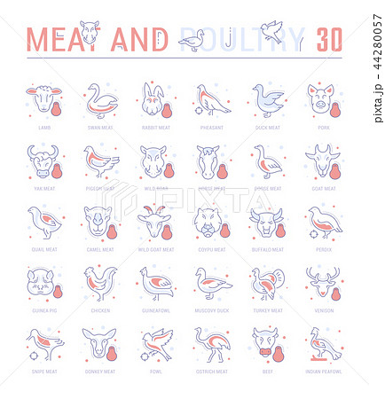 Set Blue Line Icons of Meat and Poultry. Set Blue Line Icons of Meat and Poultry. 44280057