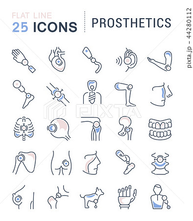 Set Vector Line Icons of Prosthetics. Set Vector Line Icons of Prosthetics. 44280112