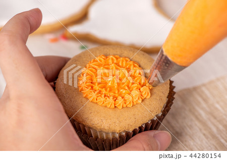 ケーキ ケーキ各種 トルテ 44280154