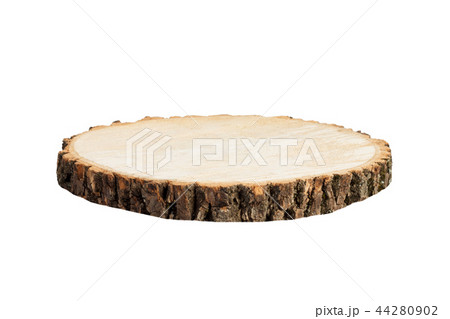 Wooden stump isolated. Cross section of tree trunk 44280902