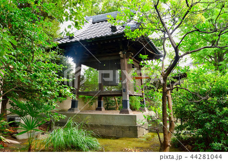 本光寺(品川) 本光寺(品川) 44281044