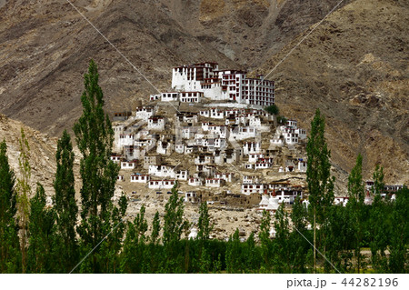Chemrey gompa in Ladakh, India 44282196