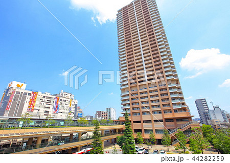 市川駅 千葉県 市川駅 千葉県 44282259