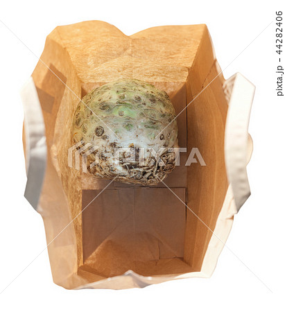 top view of celeriac in a paper bag isolated top view of celeriac in a paper bag isolated 44282406