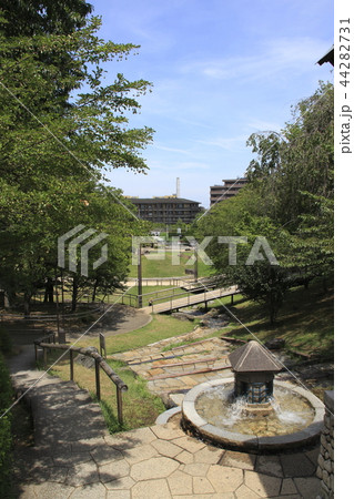 夏の清水坂公園にて(東京都北区) 夏の清水坂公園にて(東京都北区) 44282731
