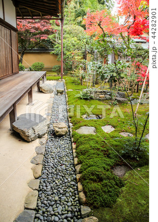 大徳寺興臨院の紅葉、苔の庭に紅葉 44282901