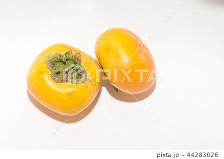 種無し柿 44283026