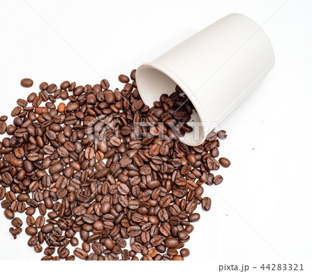 コップ カップ マグカップ 44283321