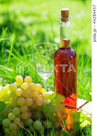 Rose wine and grapes Rose wine and grapes 44284457