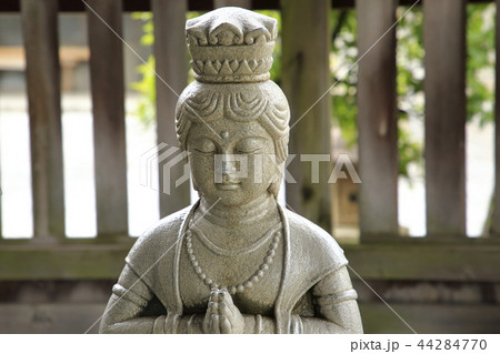 萬満寺　松戸 44284770