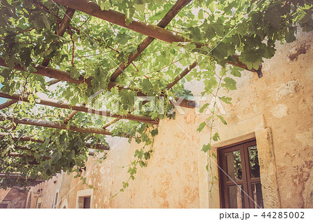 Inner garden monastery of Arkadi, Crete Greece 44285002