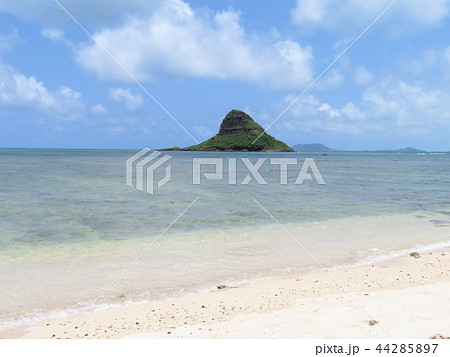Hawaii   ハワイの風景　オアフ島 クアロアビーチ 44285897