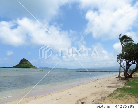 Hawaii ハワイの風景 オアフ島 クアロアビーチ Hawaii ハワイの風景 オアフ島 クアロアビーチ 44285898