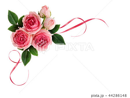 Pink rose flowers and satin ribbons in arrangement 44286148