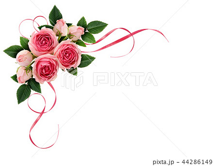 Pink rose flowers and ribbons in arrangement 44286149