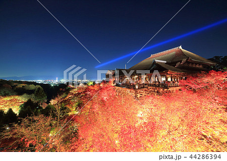 秋の夜の清水寺 44286394