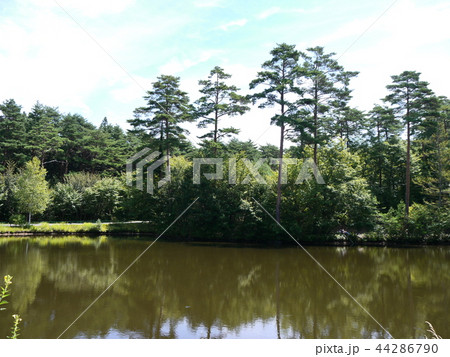 チロルの森（長野県　信州塩尻農業公園） 44286790