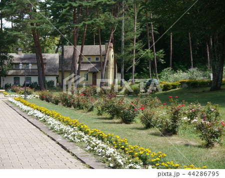 チロルの森（長野県　信州塩尻農業公園） 44286795