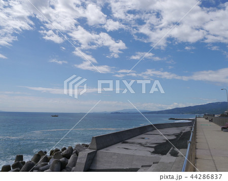 西湘PA（海岸ドライブ） 44286837