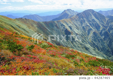 紅葉の谷川岳主脈稜線 44287465
