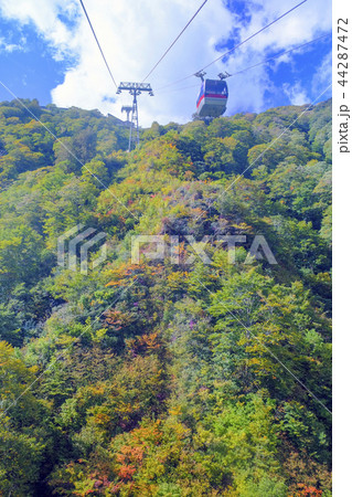 秋の谷川岳ロープウェイ（縦） 44287472