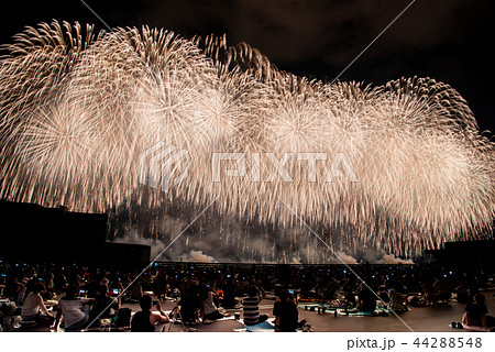新潟県 長岡まつり大花火大会 フェニックス 新潟県 長岡まつり大花火大会 フェニックス 44288548