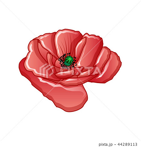 Poppy flower icon, cartoon style Poppy flower icon, cartoon style 44289113