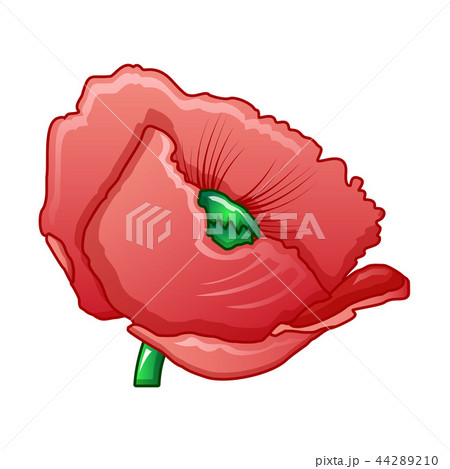 Opium poppy icon, cartoon style Opium poppy icon, cartoon style 44289210