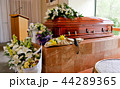 funeral casket in a hearse or chapel 44289365