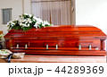 funeral casket in a hearse or chapel 44289369
