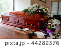 funeral casket in a hearse or chapel 44289376