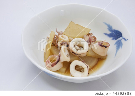 イカと大根の煮物 イカと大根の煮物 44292388