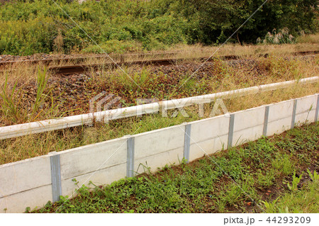 久留里線東清川駅の線路に生い茂る雑草(1) 久留里線東清川駅の線路に生い茂る雑草(1) 44293209