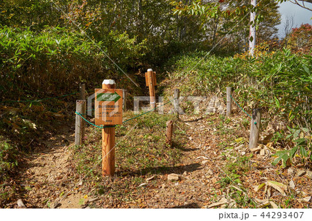 尾瀬 鳩待峠の至仏山登山口 44293407