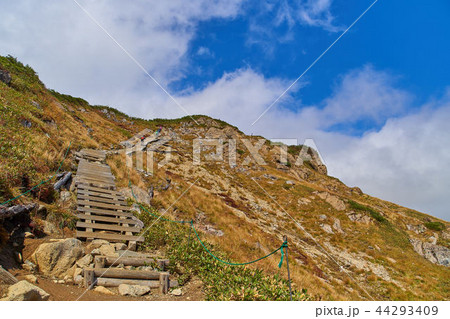 秋の尾瀬 小至仏山の2100m付近から小至仏山頂方面を見る 44293409