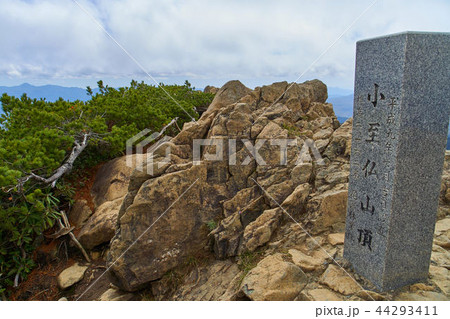 秋の尾瀬 小至仏山の山頂標識 44293411