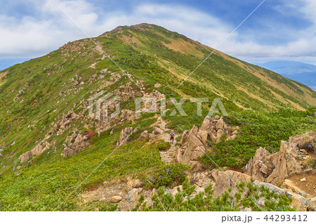 秋の尾瀬 小至仏山の山頂過ぎた辺りから至仏山の山頂方面を見る 44293412