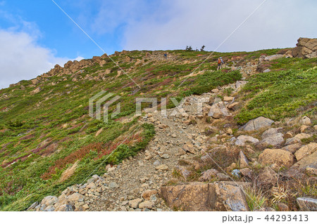 秋の尾瀬 小至仏山と至仏山の中間地点から至仏山の山頂方面を見る 44293413