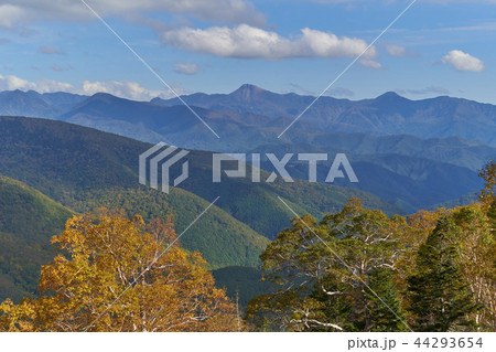 秋の尾瀬 至仏山登坂中の南東側（日光白根山方面）眺望 44293654
