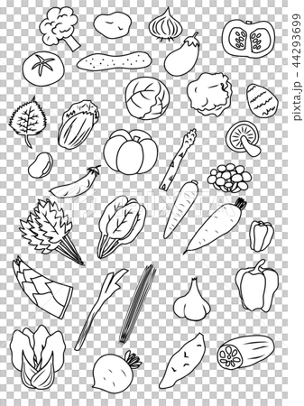野菜のアイコンセット　線画 44293699