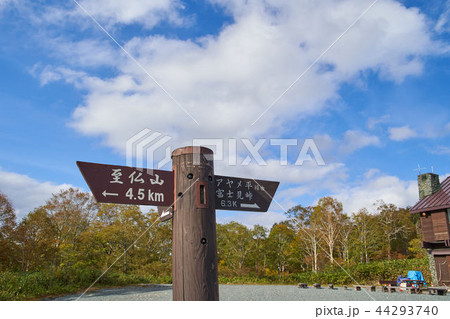 秋の尾瀬 鳩待峠の道標 秋の尾瀬 鳩待峠の道標 44293740