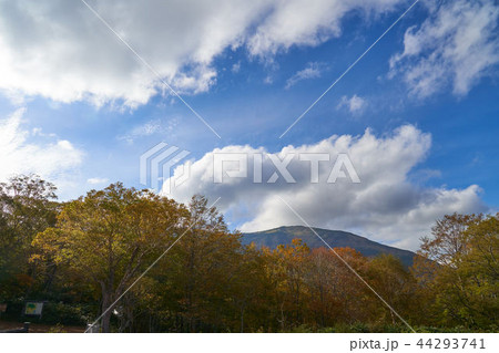 秋の尾瀬 鳩待峠から見た至仏山 44293741
