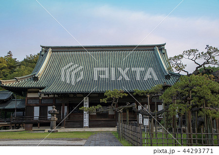 大光院　本堂　黒松　群馬県　太田市 44293771
