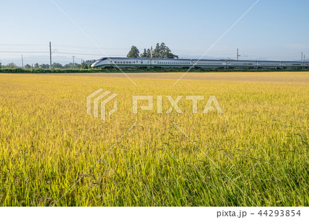 山形新幹線 44293854