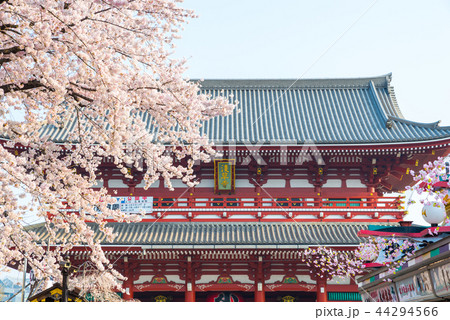 浅草寺 宝蔵門 春 （東京都台東区） ※2018年3月撮影 44294566