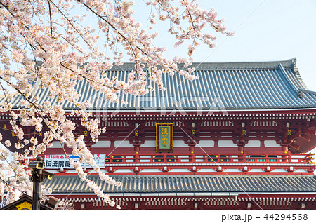 浅草寺 宝蔵門 春 （東京都台東区） ※2018年3月撮影 44294568