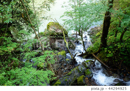 抱返り渓谷　秋田県 44294925
