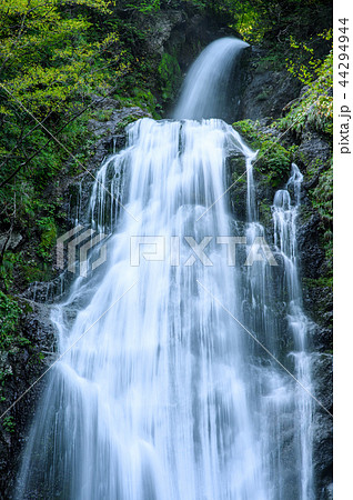 回顧（みかえり）の滝　秋田県 44294944